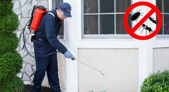 Çeltik Akrep İlaçlama böcek ilaçlama ve haşere kontrolü — ilaclama-tr.com